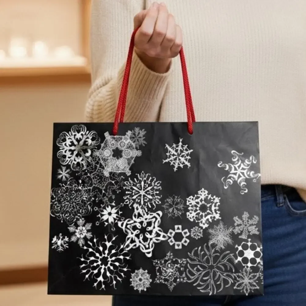 Saks Fifth Avenue Shopping Gift Bag‎ great Condition 10x8x6